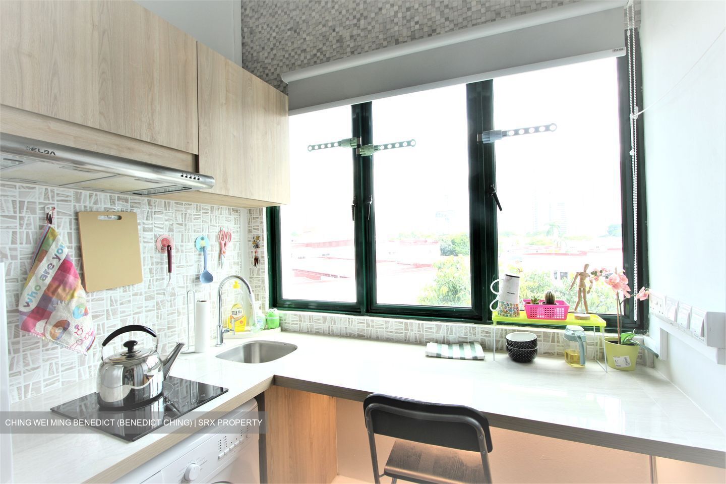 Tiong Bahru Estate (D3), Apartment #556758351